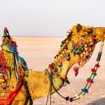 Pushkar Fair