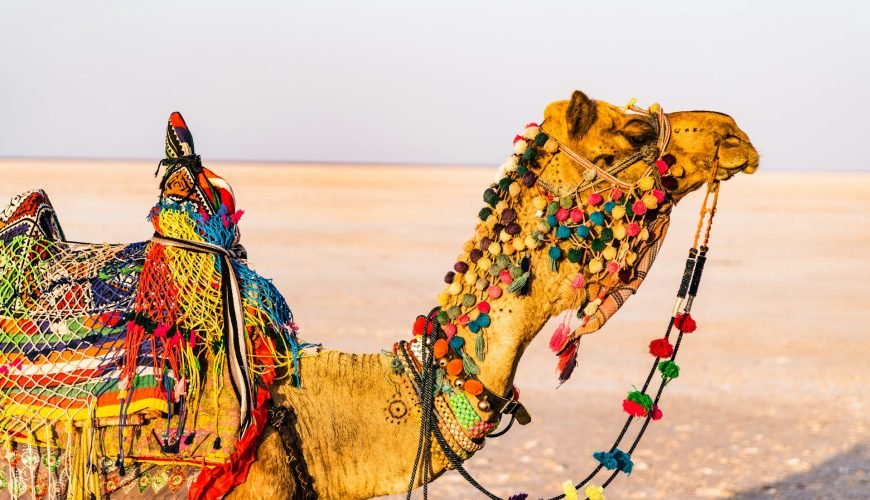 Pushkar Fair 2025 – Complete Guide to India’s Most Colorful Camel Festival 2 Pushkar Fair